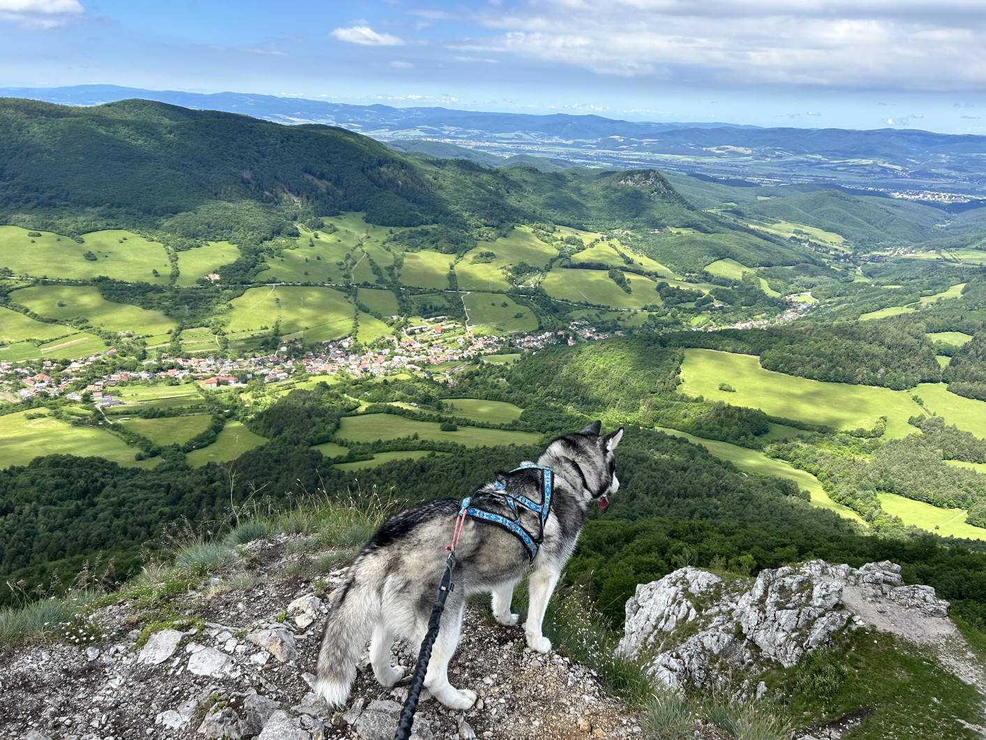 Vrchol Vápeč (Vápeč)