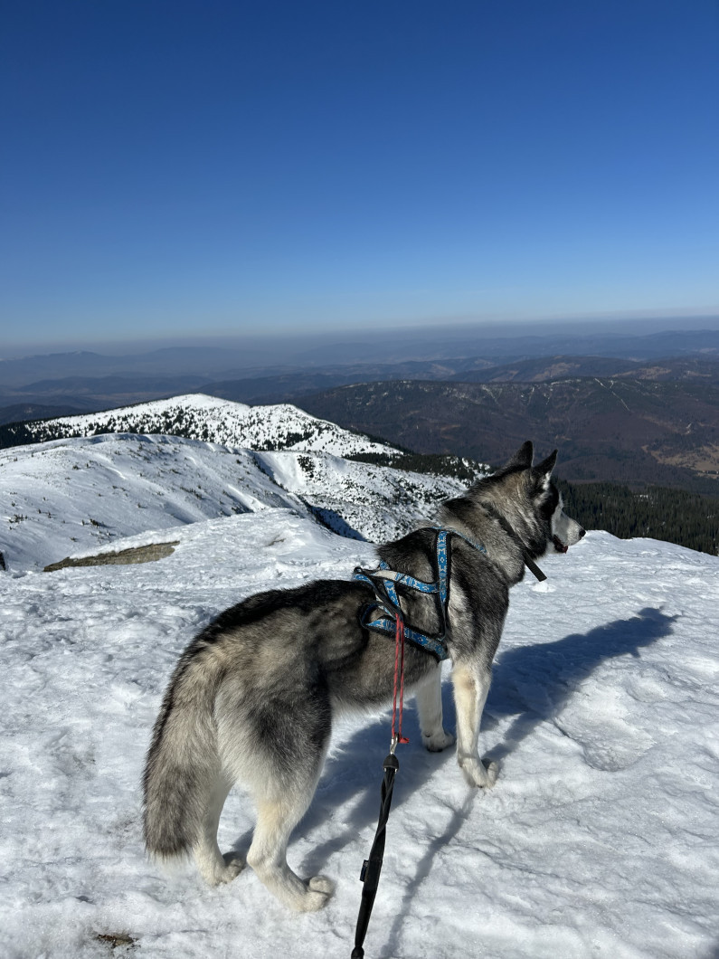Vrchol Babia Hora (Babia Hora)