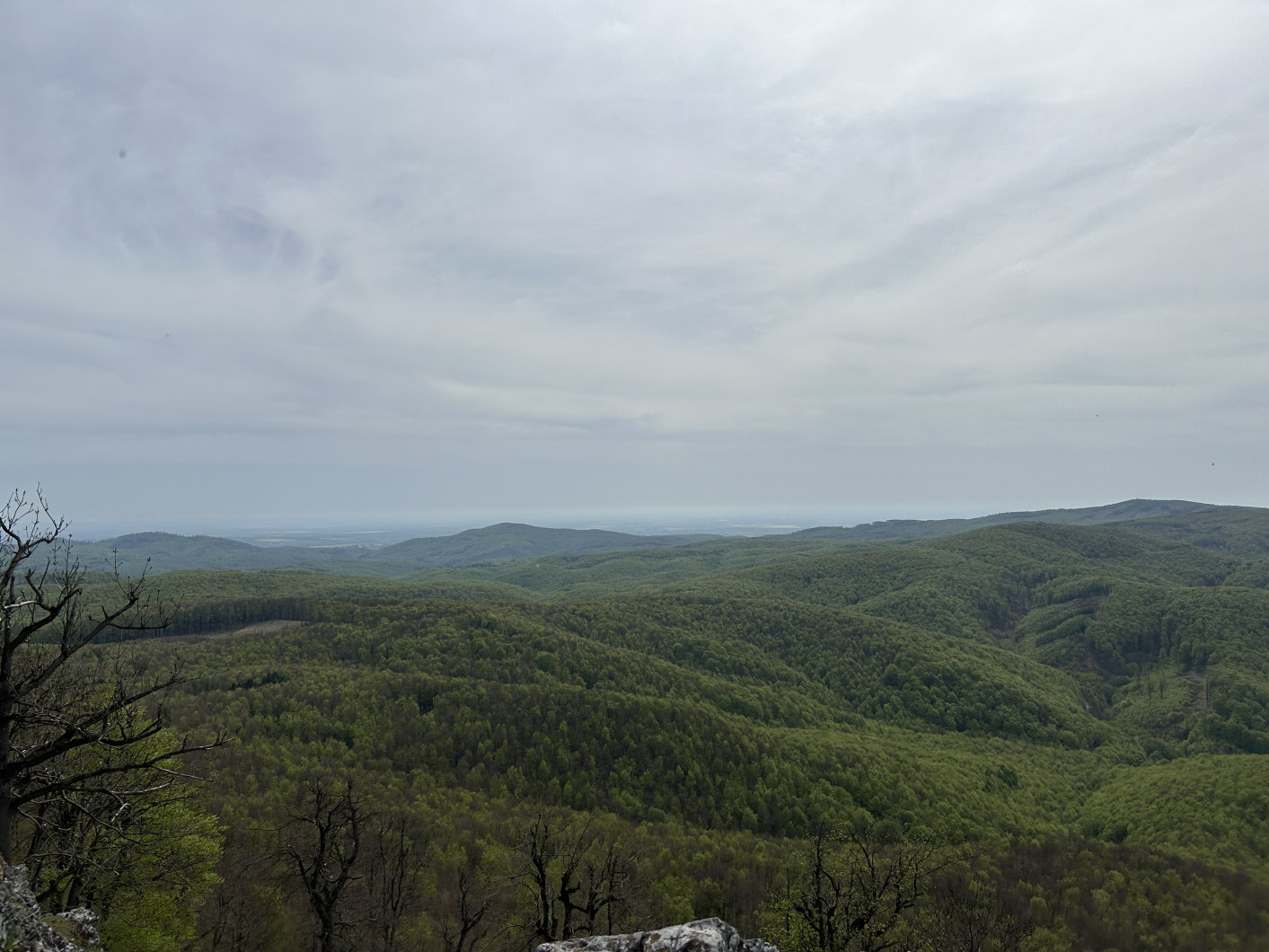 Vrchol Vysoká (Vysoká)