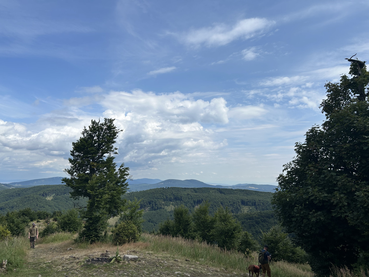 Vrchol Skalnatá (Skalnatá)