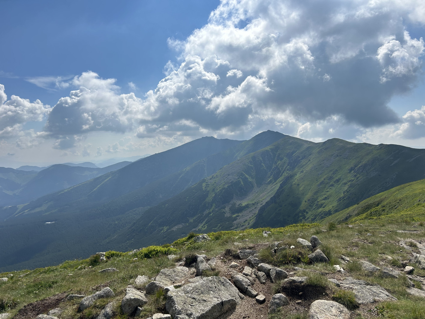 Vrchol Poľana (Demanovská Dolina) (Poľana)