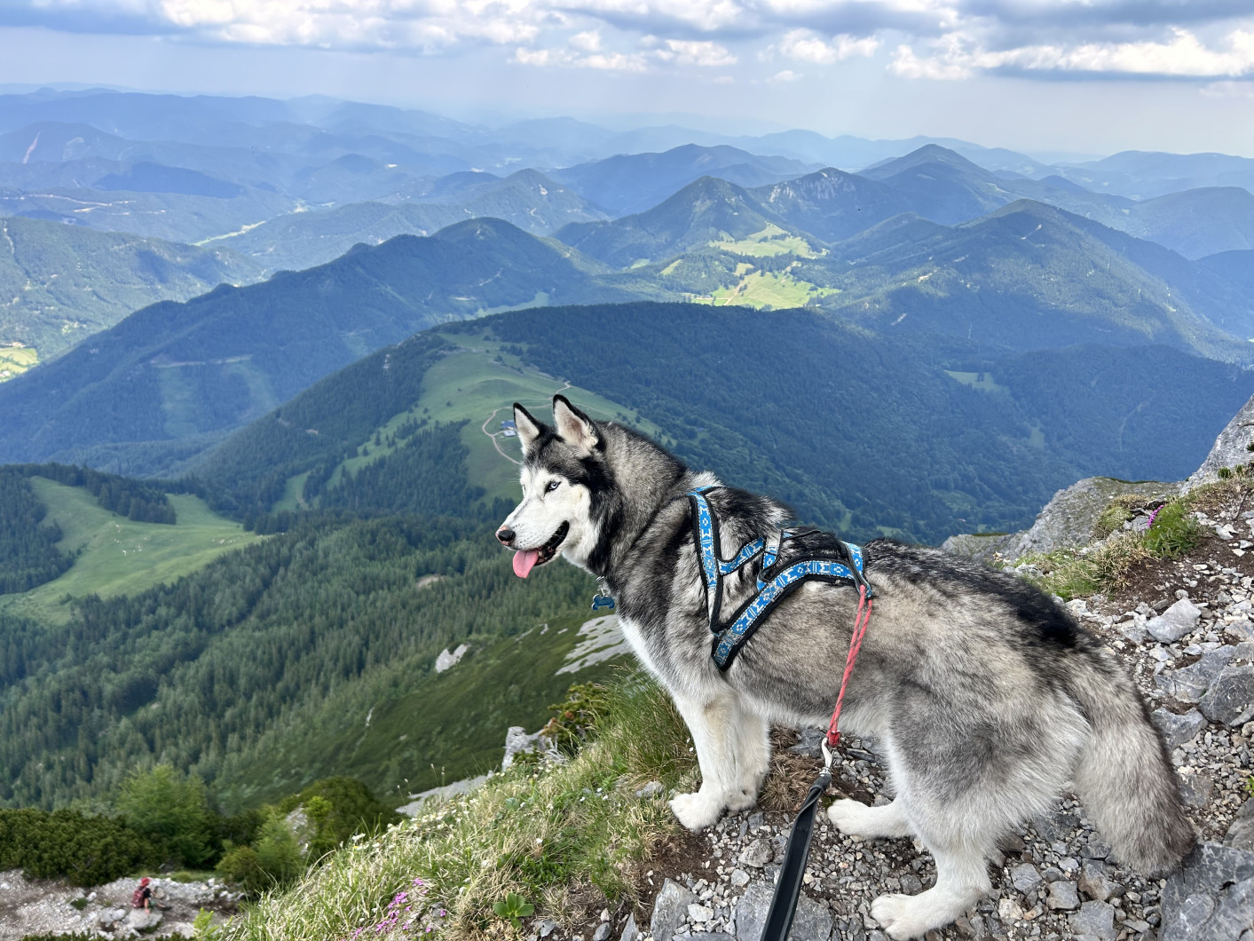 Vrchol Schneeberg (Schneeberg)