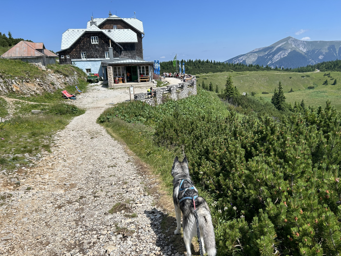 Vrchol Jakobskogel (Jakobskogel)
