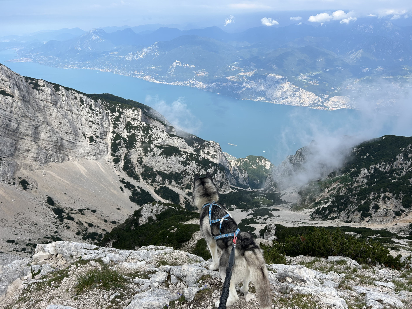 Vrchol Monte Baldo (Monte Baldo)