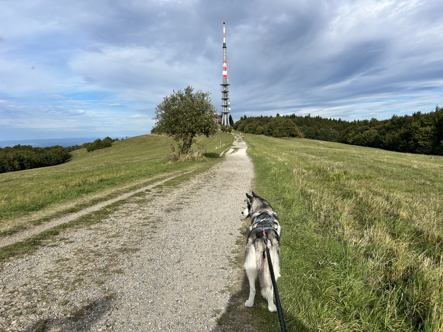 Vrchol Veľká Javorina